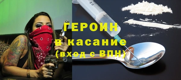 индика Карпинск