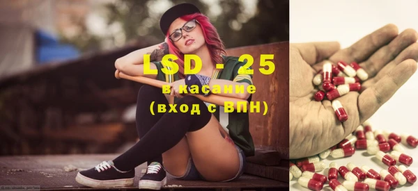ГАЛЛЮЦИНОГЕННЫЕ ГРИБЫ Карталы