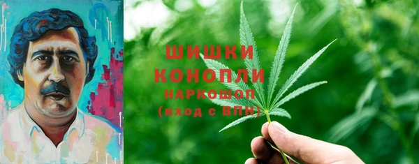 ГАЛЛЮЦИНОГЕННЫЕ ГРИБЫ Карталы