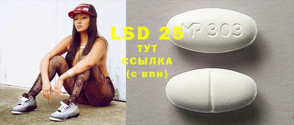 индика Карпинск