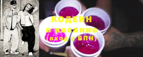 индика Карпинск