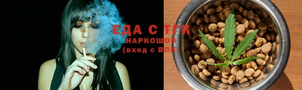 индика Карпинск