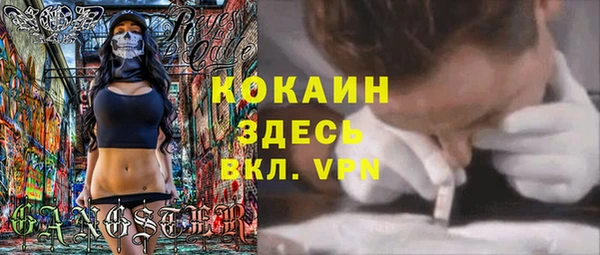 ГАЛЛЮЦИНОГЕННЫЕ ГРИБЫ Карталы