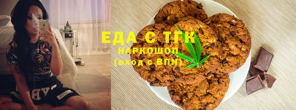 индика Карпинск