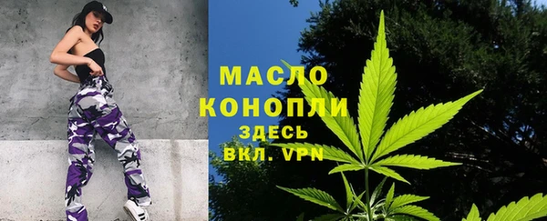 индика Карпинск