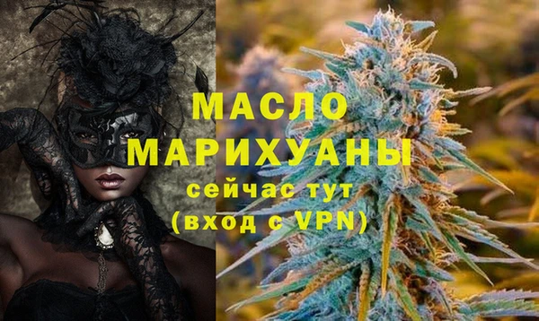 индика Карпинск