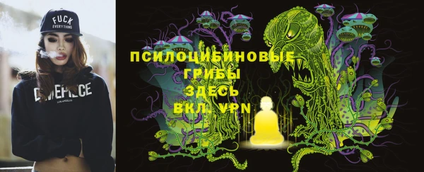 молекула духа Касимов