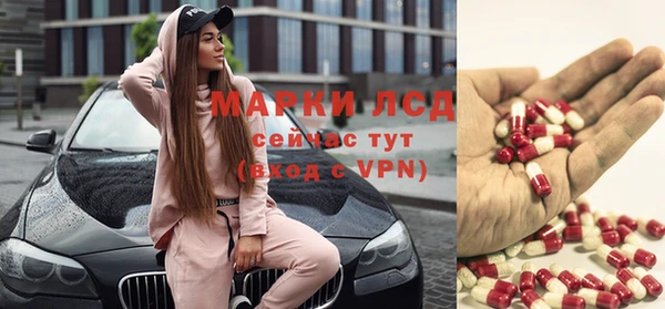индика Карпинск