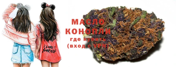 индика Карпинск