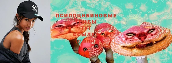 соль ск Кинешма
