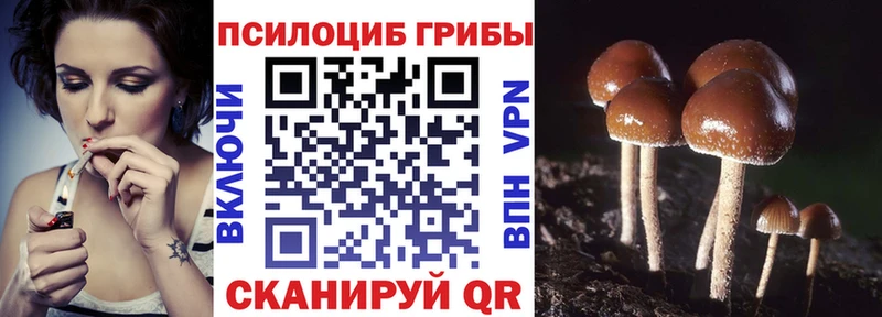 Галлюциногенные грибы ЛСД  Купить закладки  Богородск 